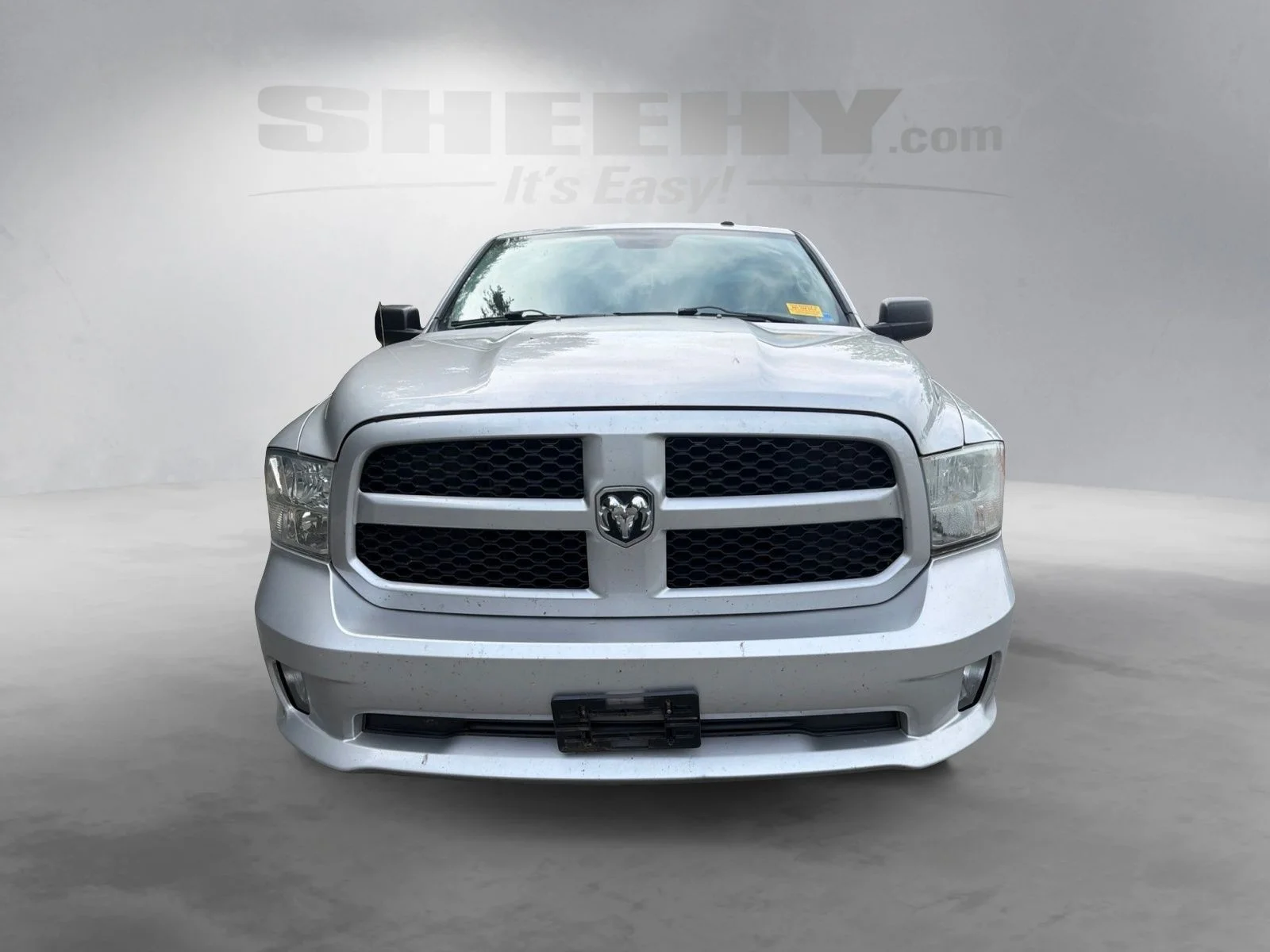 Used 2013 Bright Silver Metallic Ram Express image 15
