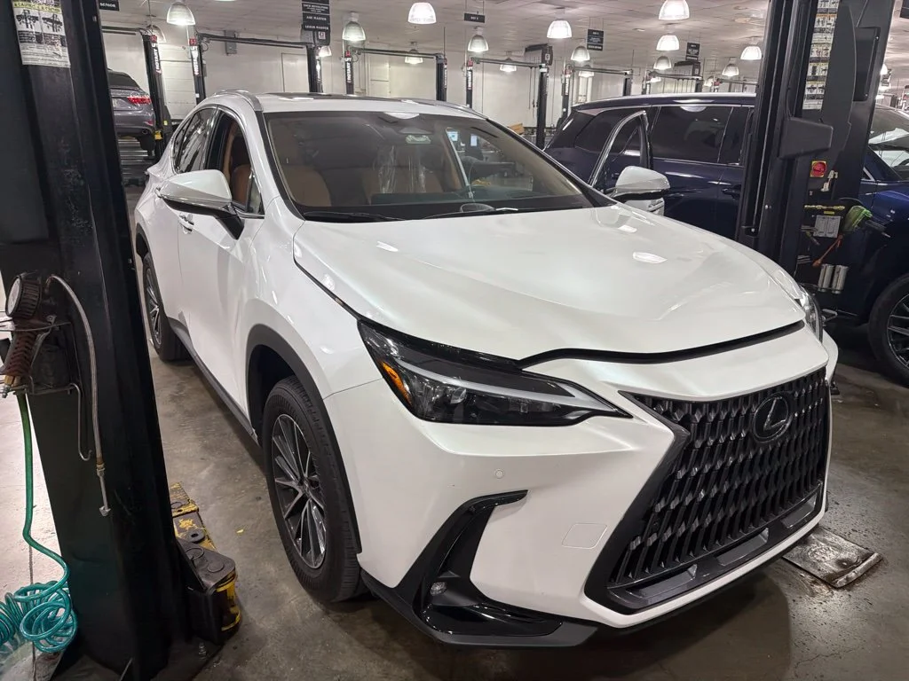 2024 Lexus NX
