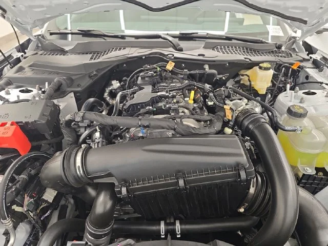 New 2026 Oxford White Ford EcoBoost® Fastback image 34