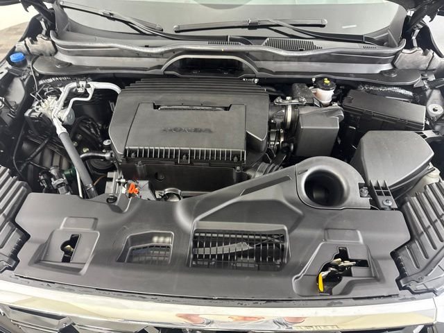Used 2025 Black Honda Elite image 37