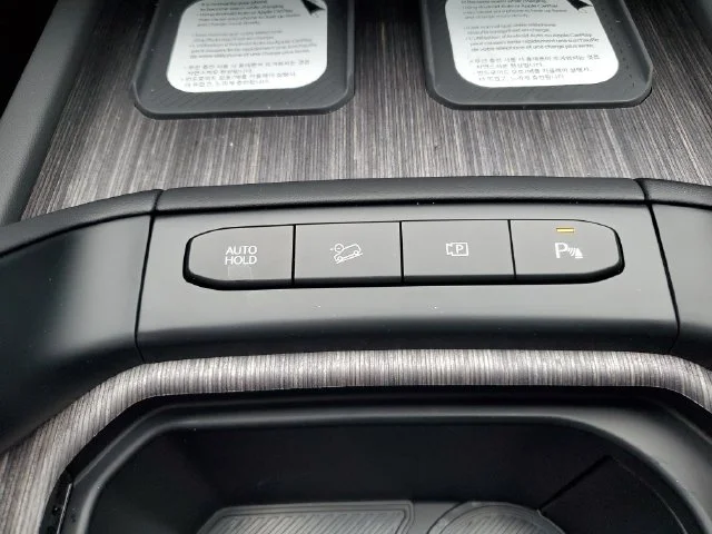 New 2027 Wolf Gray Kia X-LINE SX PRESTIGE image 29