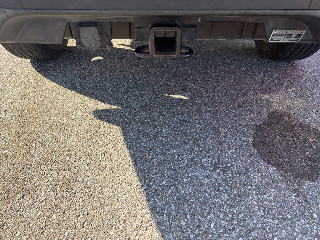 Used 2019  Honda RTL-E image 9