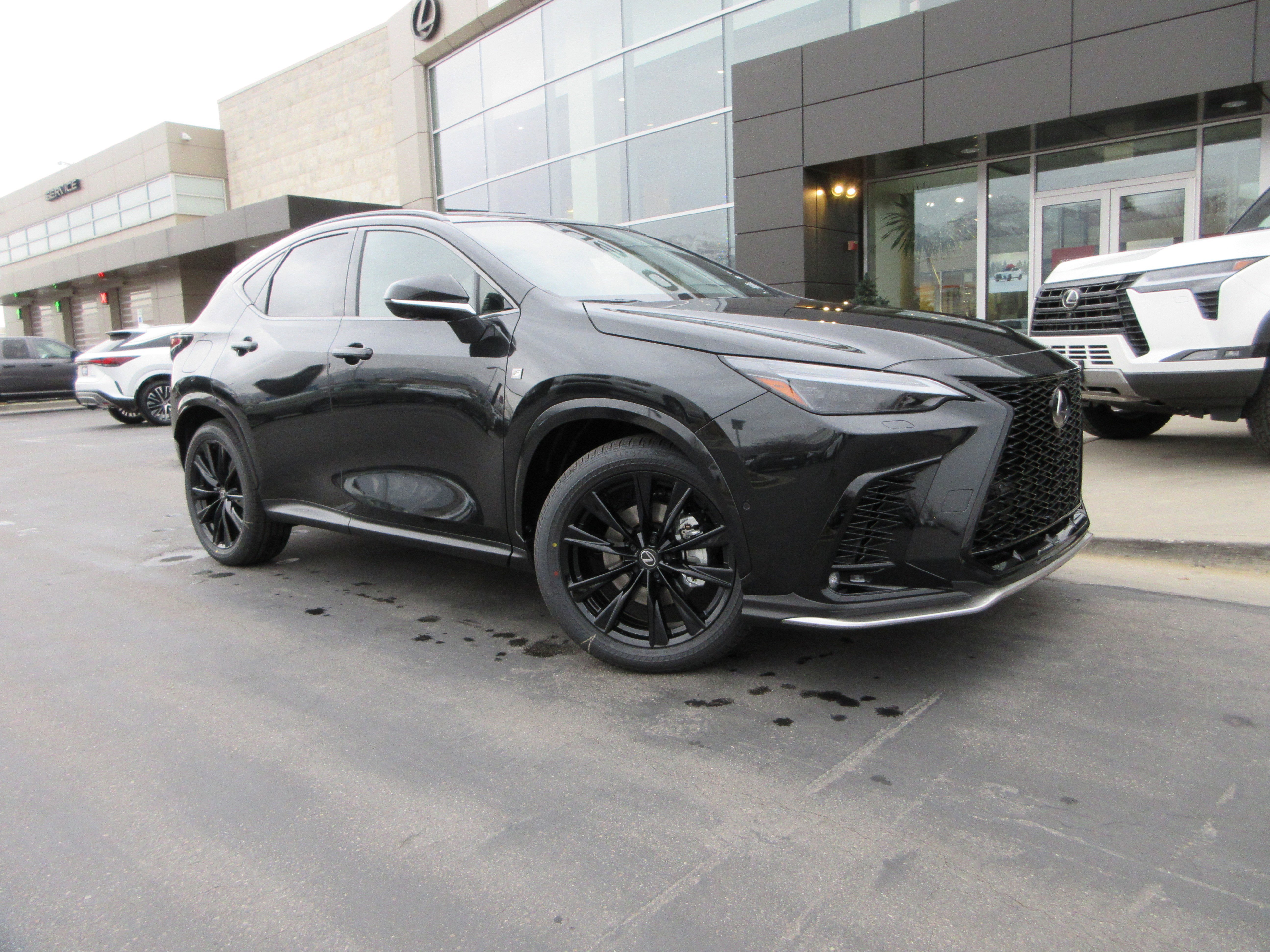 2026 Lexus NX 450h+ F-Sport - Photo 14