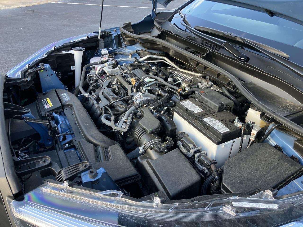 Used 2026 Blue (Cavalry Blue) Toyota XLE image 34
