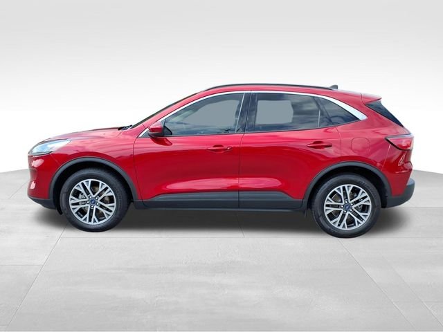 Used 2020 Red Ford SEL image 4