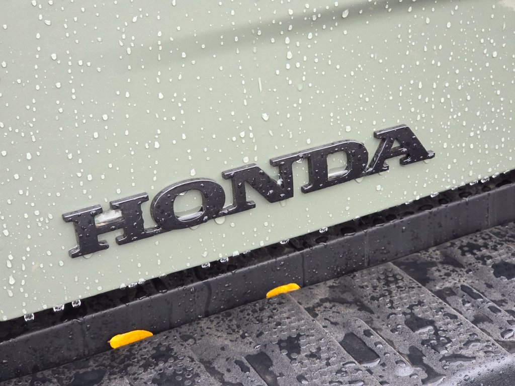New 2026 Ash Green Metallic Honda TrailSport image 19