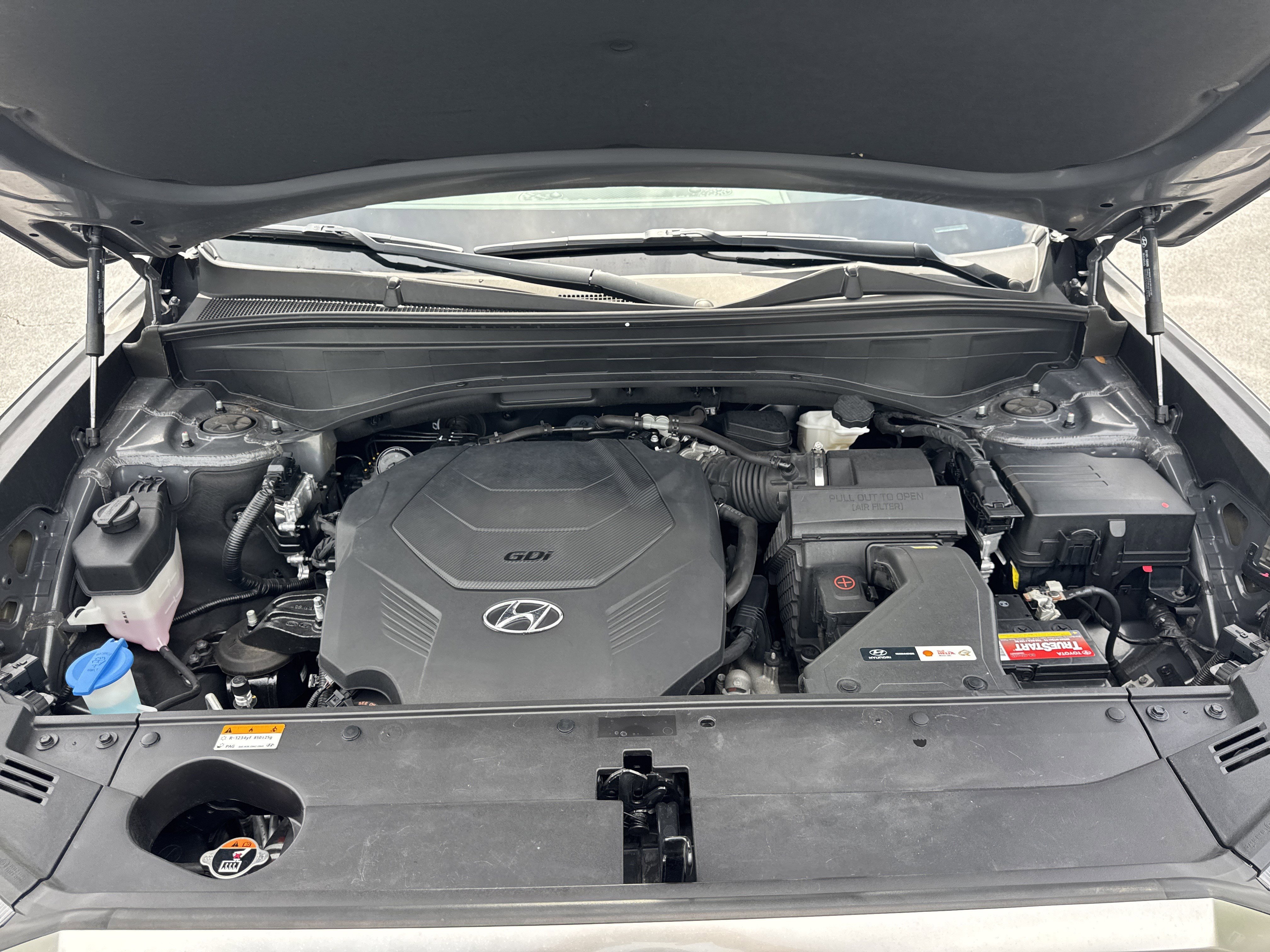 Used 2022 Rainforest Hyundai Calligraphy image 42