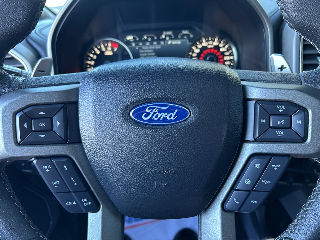 Used 2019 Magnetic Metallic Ford Raptor image 22