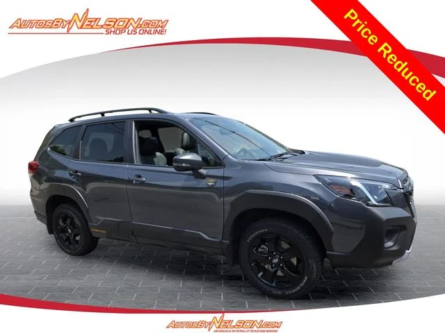 Used 2024 Gray Subaru Wilderness image 1