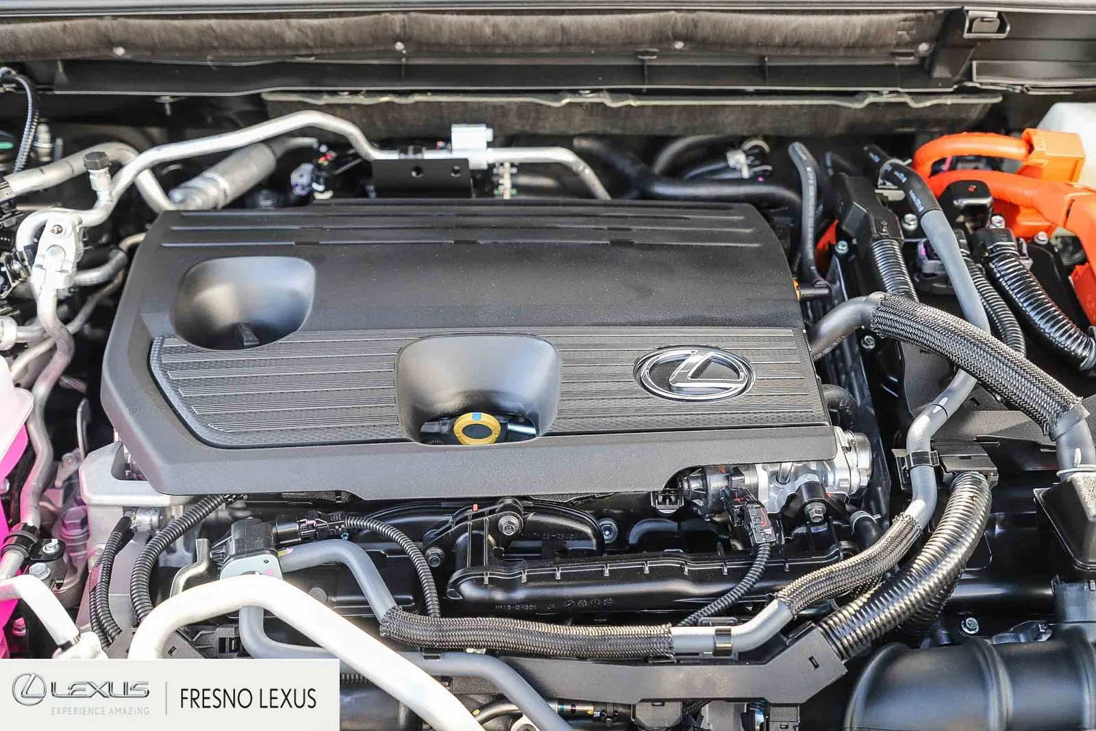 2026 Lexus NX 450h+ Luxury - Photo 13