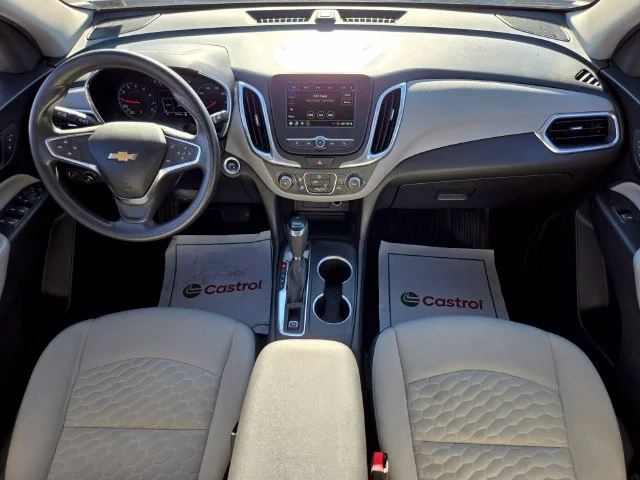 Used 2019 Beige Chevrolet LS image 14