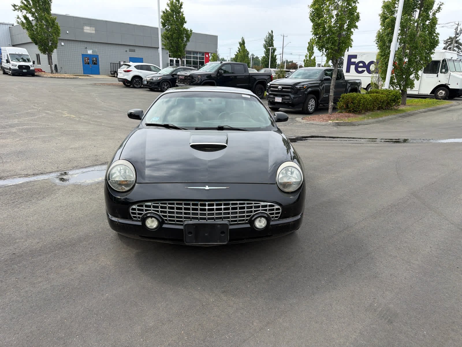Used 2003 Evening Black Ford Premium image 2