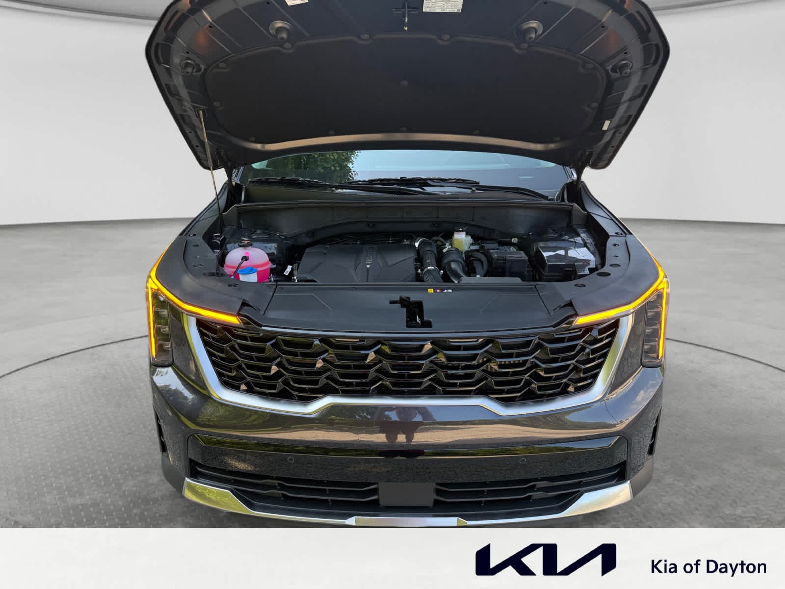 New 2026 Panthera Metal Kia EX image 24