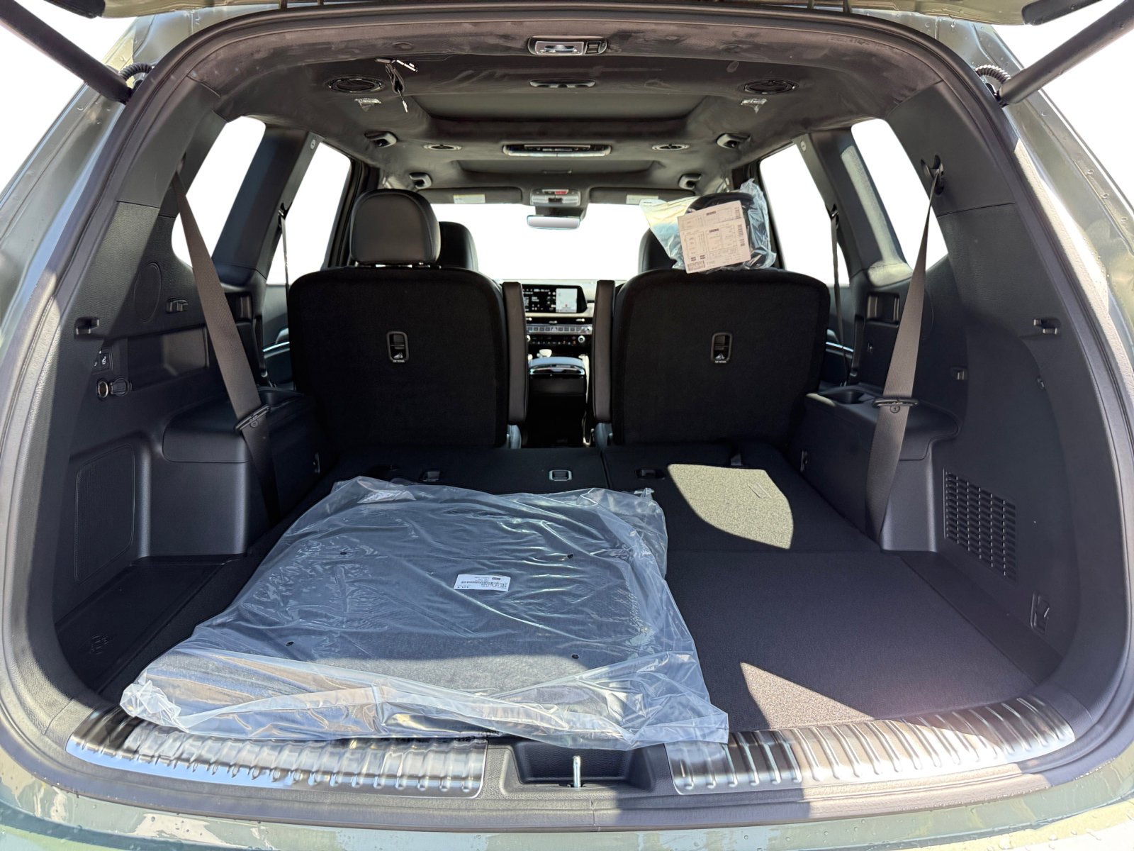 2025 Kia Telluride SX Prestige X-Line - Photo 17