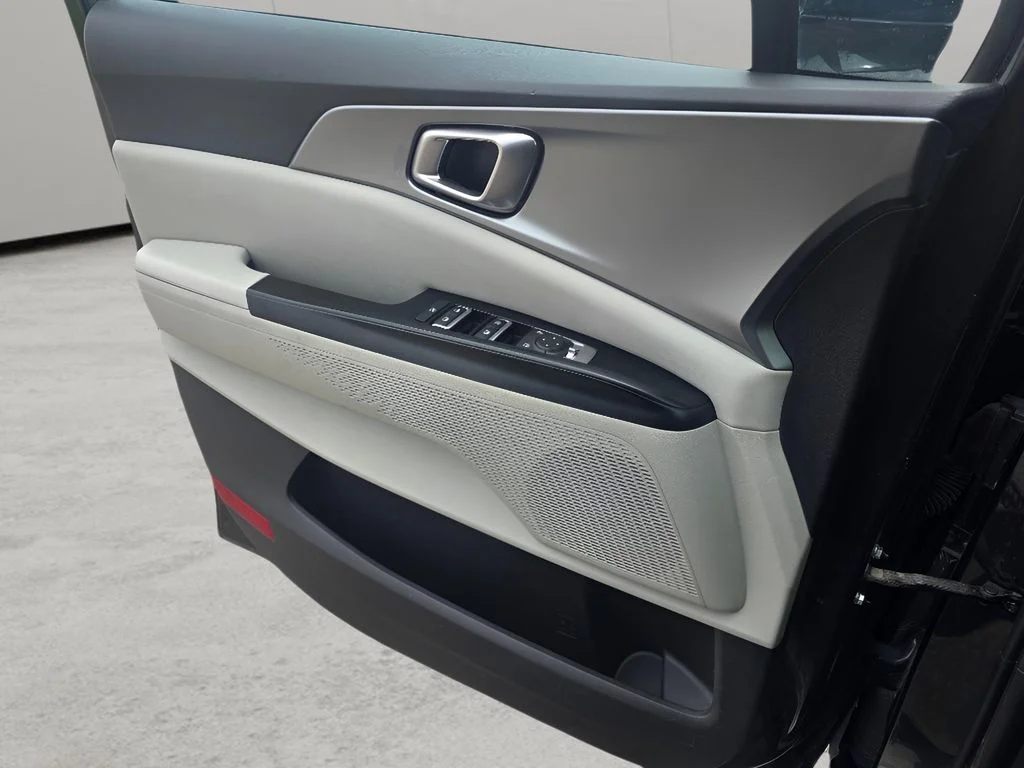 Used 2022 Pantera Metal Kia LX image 24