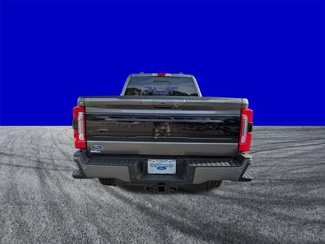 New 2026 Gray Ford Platinum image 5