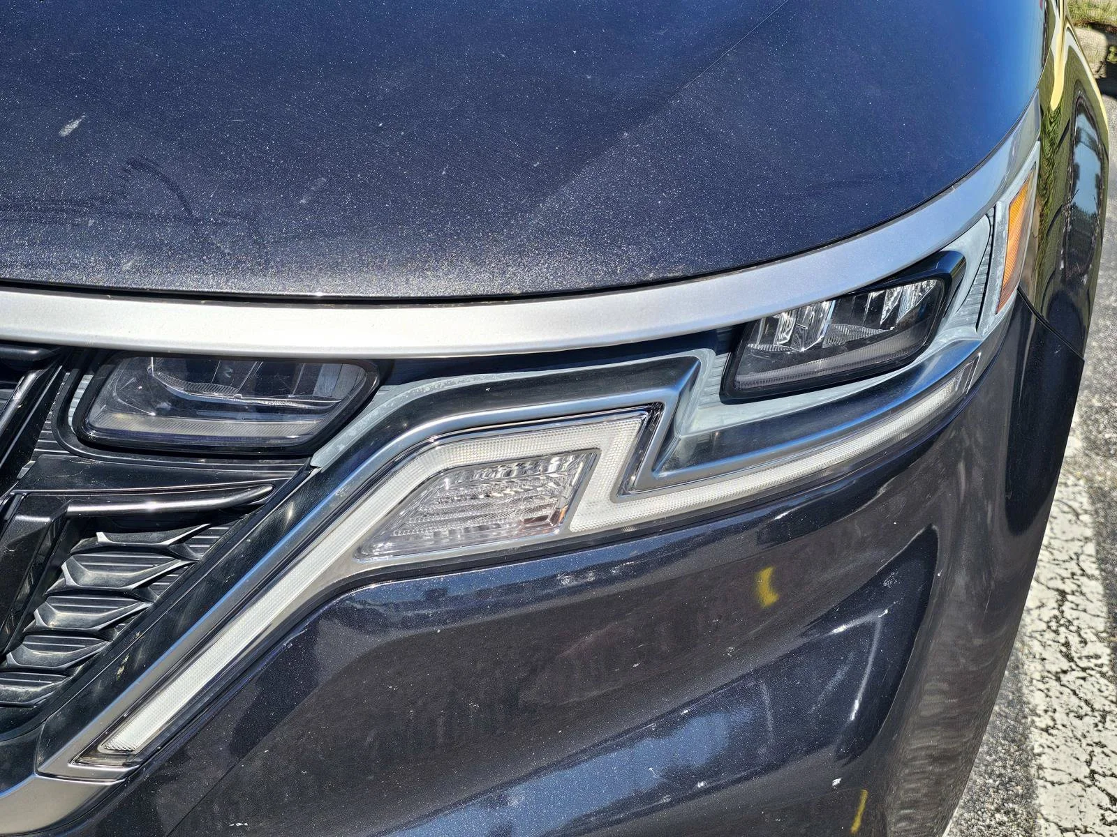 Used 2024 Panthera Metal Kia LX image 6