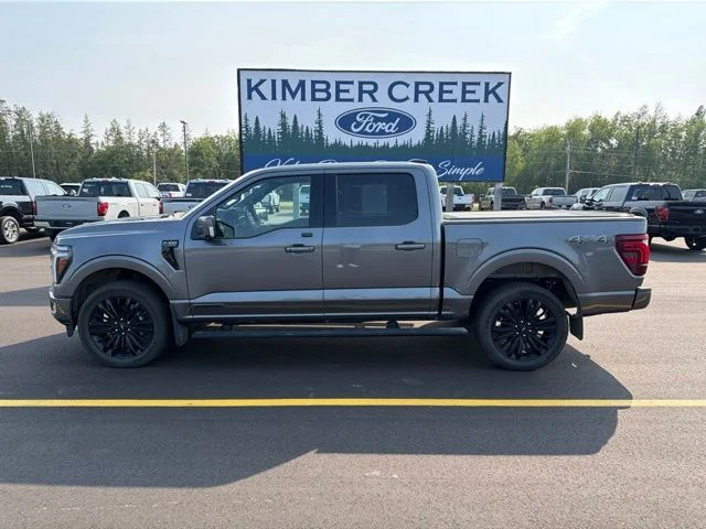 Used 2025 Ford F-150 Platinum with VIN 1FTFW7LD3SFA47118 for sale in Pine River, Minnesota