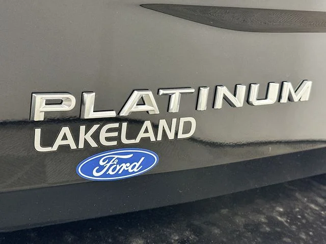 New 2026 Ford Expedition Platinum
