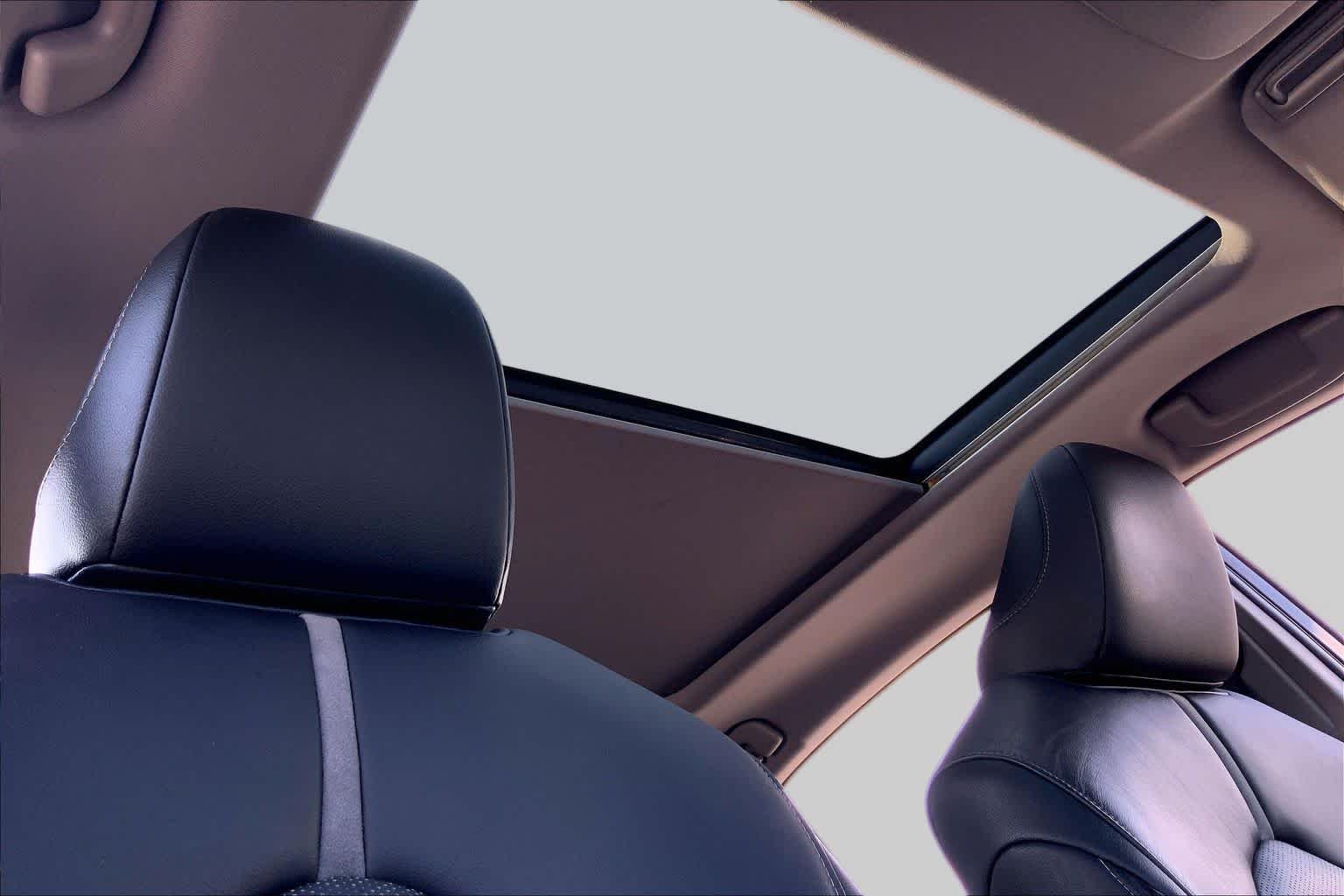Used 2019 Midnight Black Metallic Toyota XSE image 14