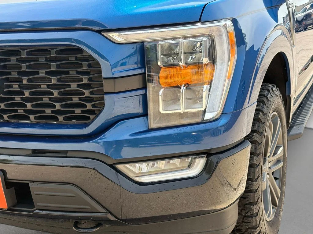Used 2023 Atlas Blue Metallic Ford XLT image 11