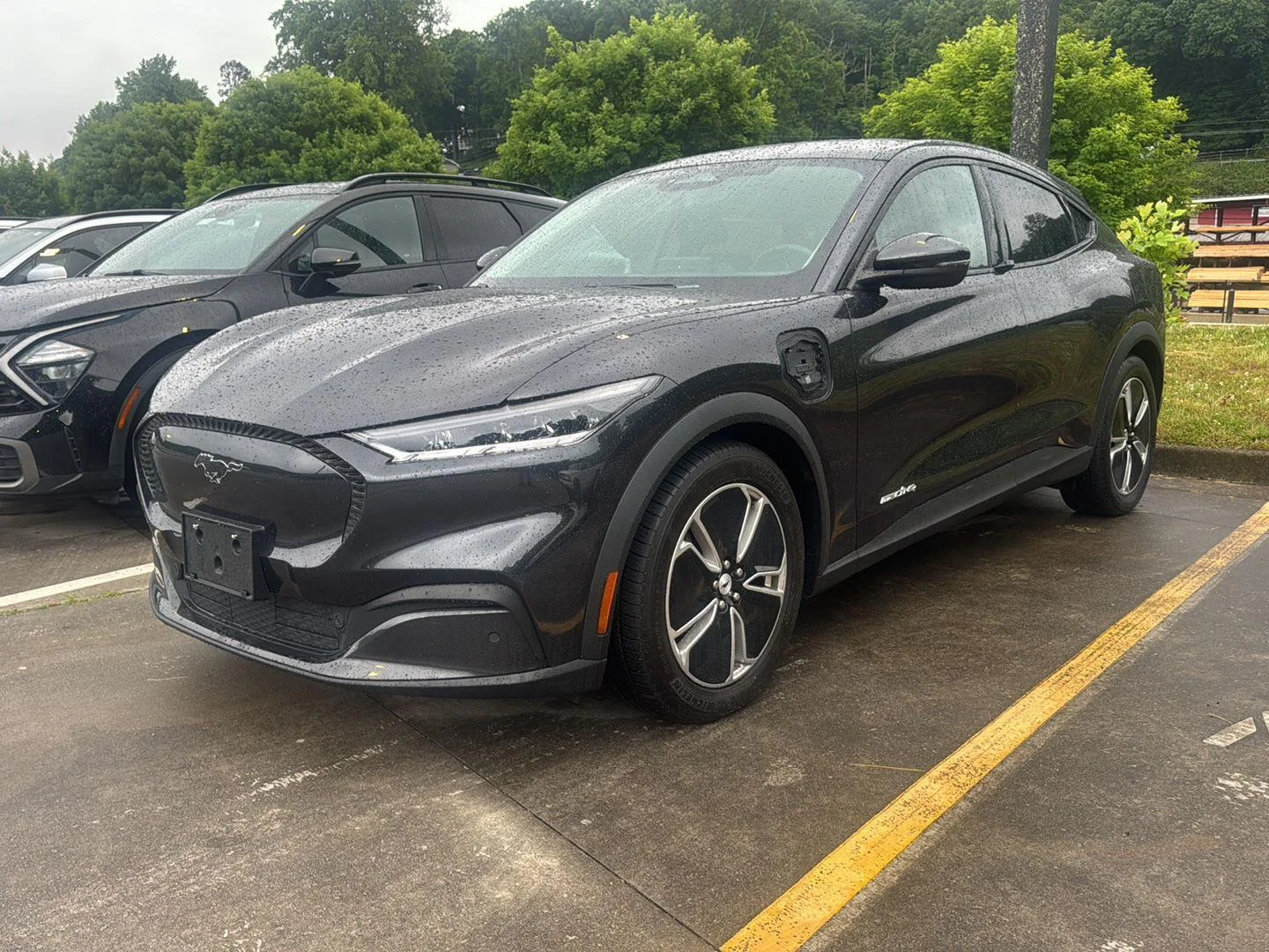 2022 Ford Mustang-Mach-e Select's photo