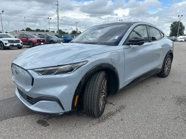 Used 2024 Glacier Gray Metallic Ford Premium image 29