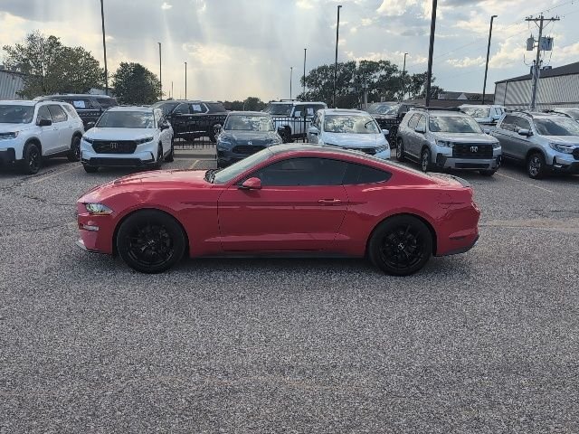 Used 2019 Red Ford EcoBoost image 2