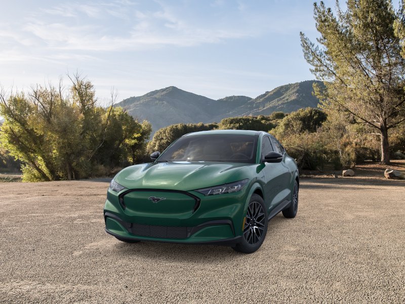 New 2026 Eruption Green Metallic Ford Premium image 24