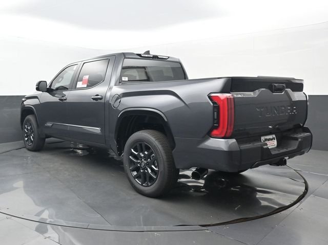New 2026 Magnetic Gray Metallic Toyota Platinum image 3