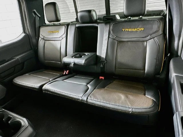New 2026 Gray Ford Tremor image 11
