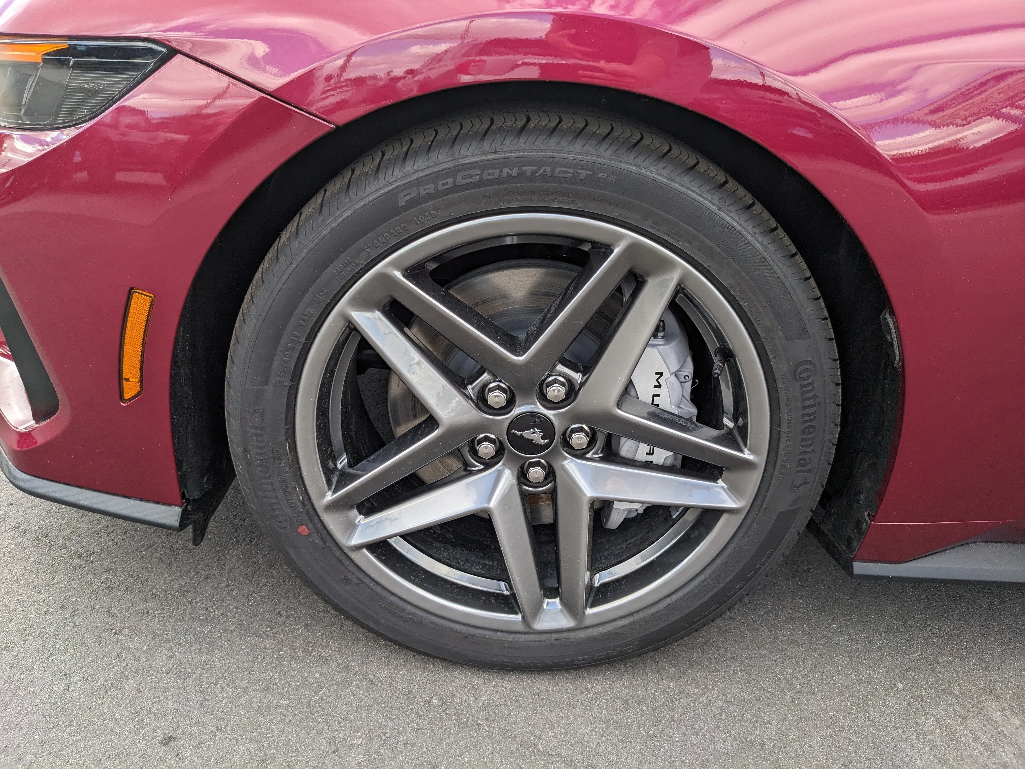 New 2026 Molten Magenta Metallic Tinted Clearcoat Ford GT Premium Fastback image 34