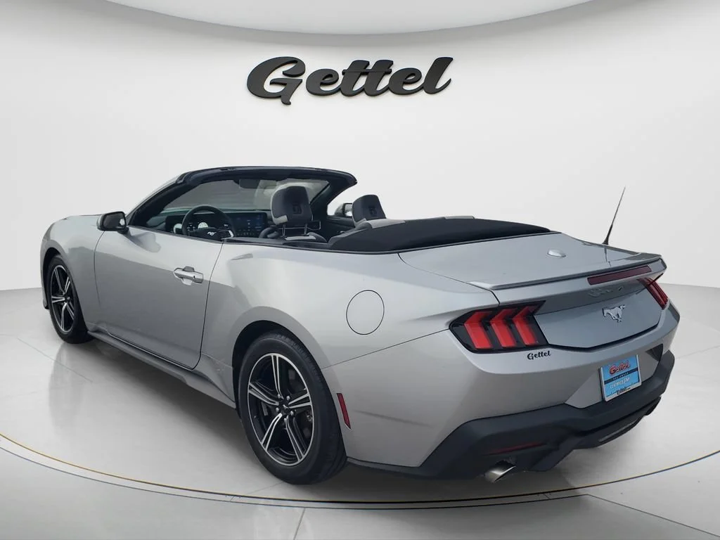 Used 2024 Silver Ford EcoBoost Premium Convertible image 7