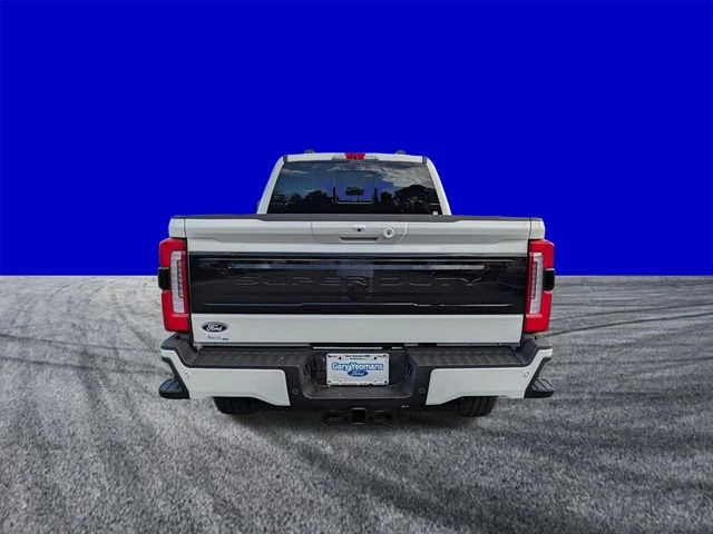 New 2027 White Ford Platinum image 5