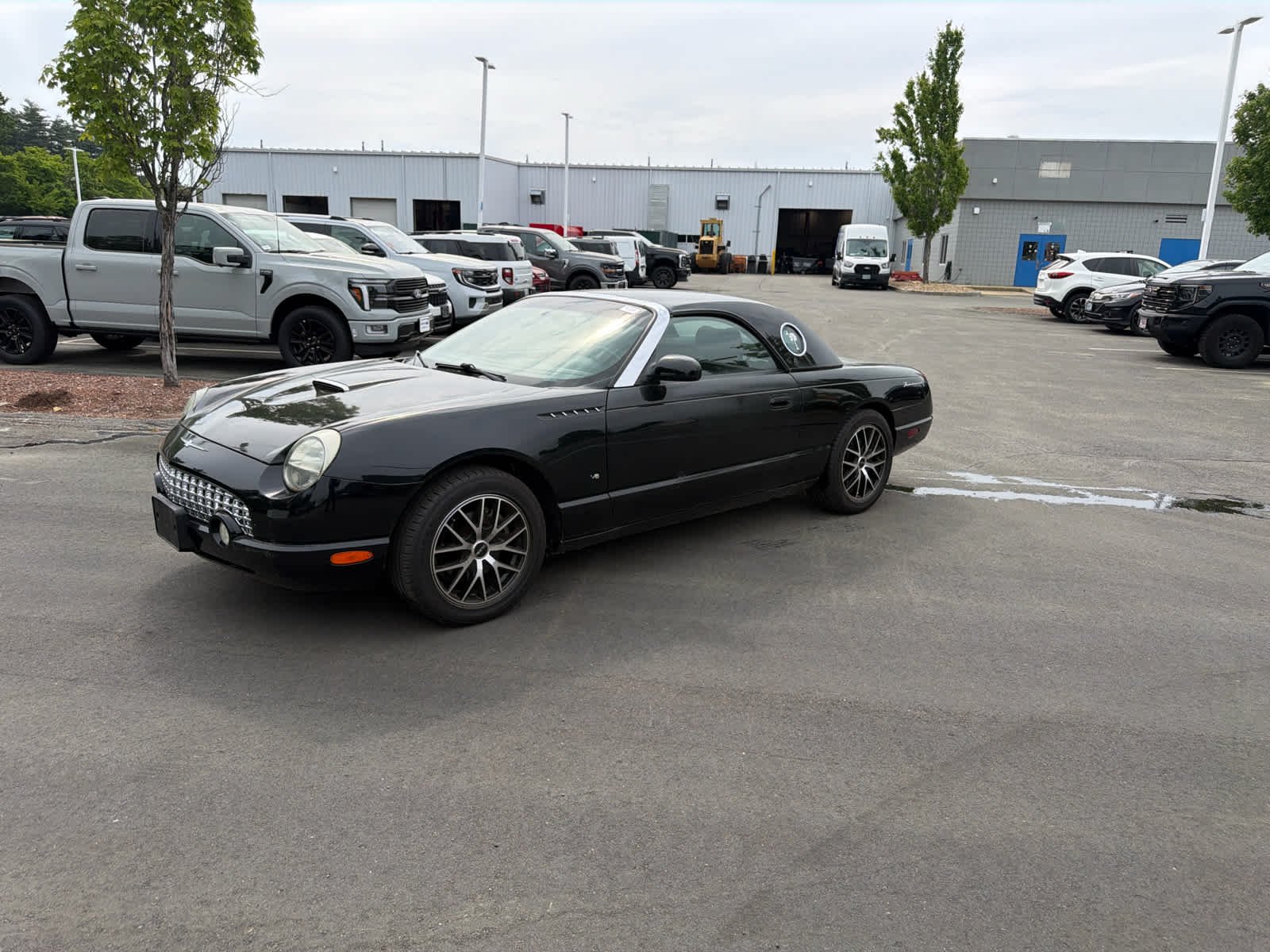 Used 2003 Evening Black Ford Premium image 1
