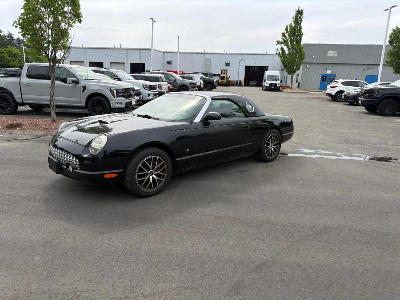2003 Ford Thunderbird Deluxe's photo