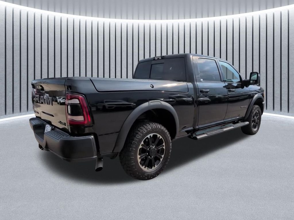 Used 2024 Black Ram Rebel image 7