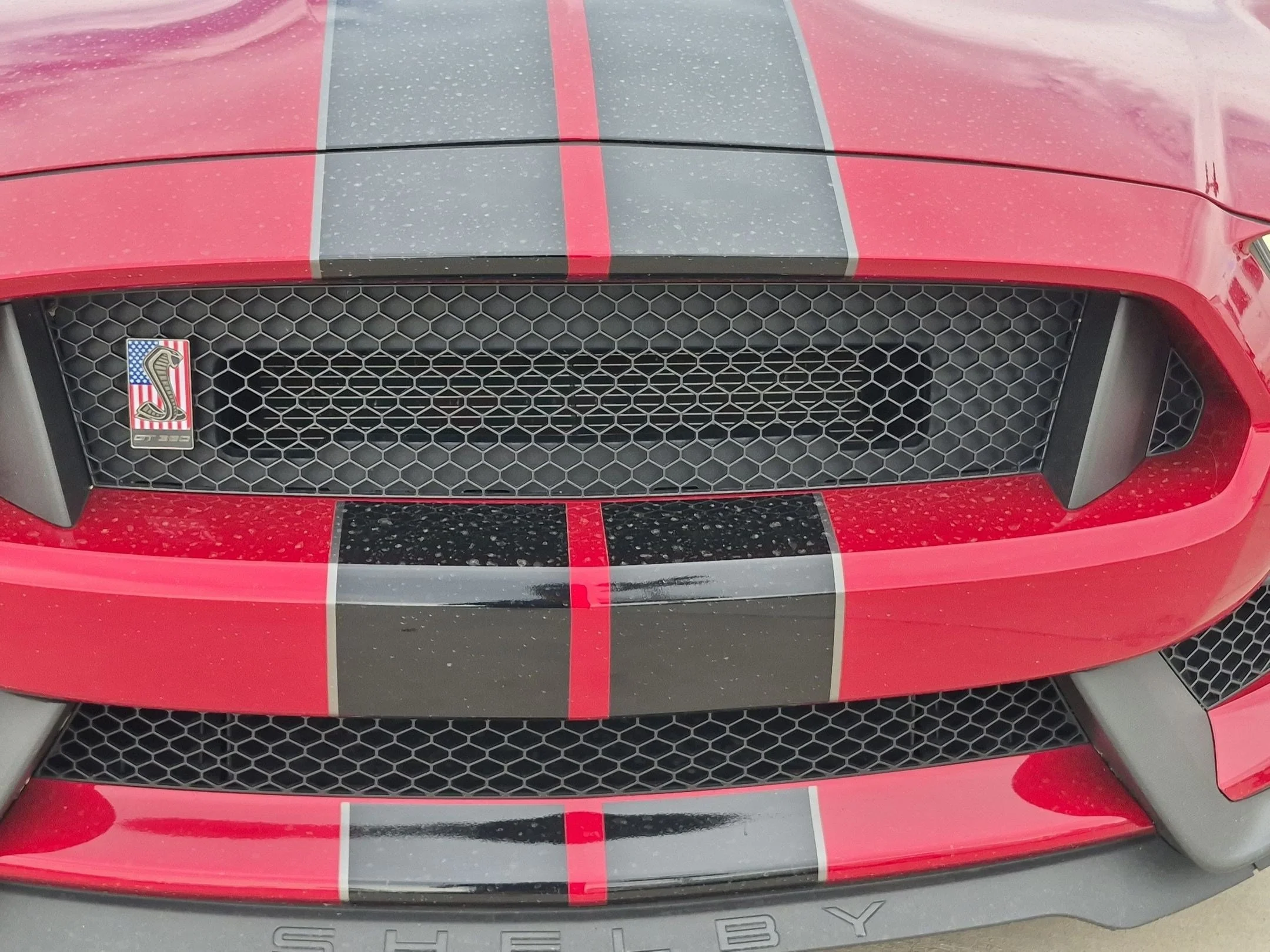 Used 2020 Rapid Red Metallic Tinted Clearcoat Ford Shelby GT350 image 9