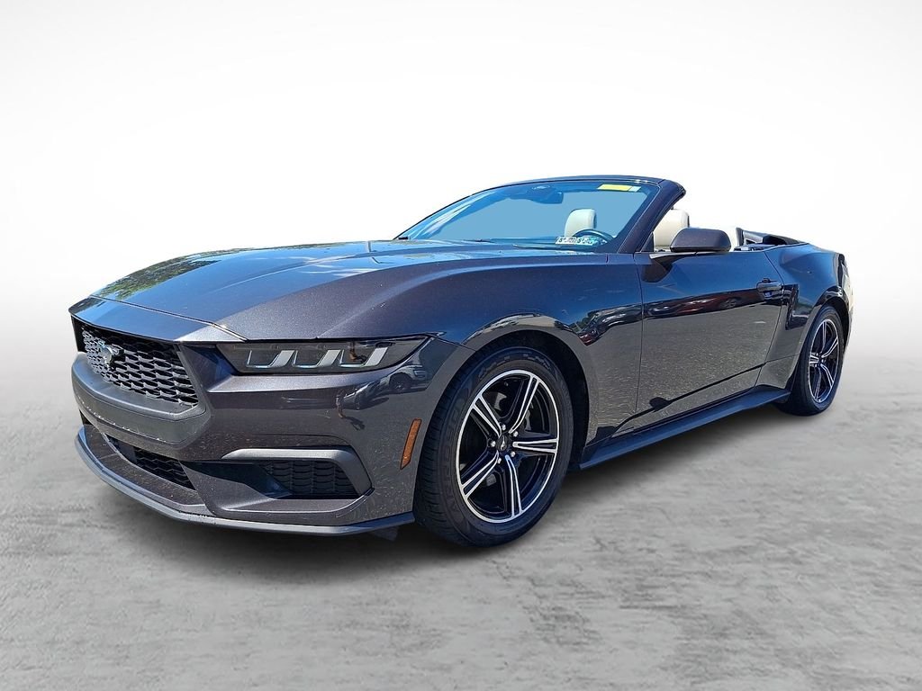 Used 2024 Gray Ford EcoBoost Premium image 3
