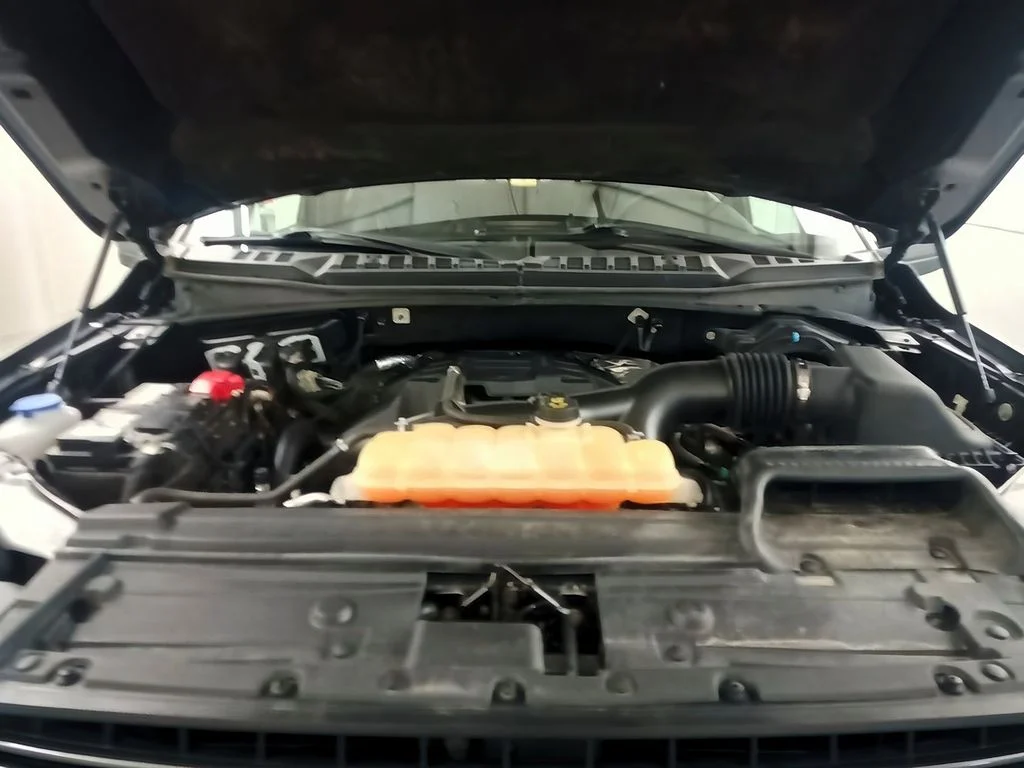 Used 2018 Magnetic Ford LARIAT image 16