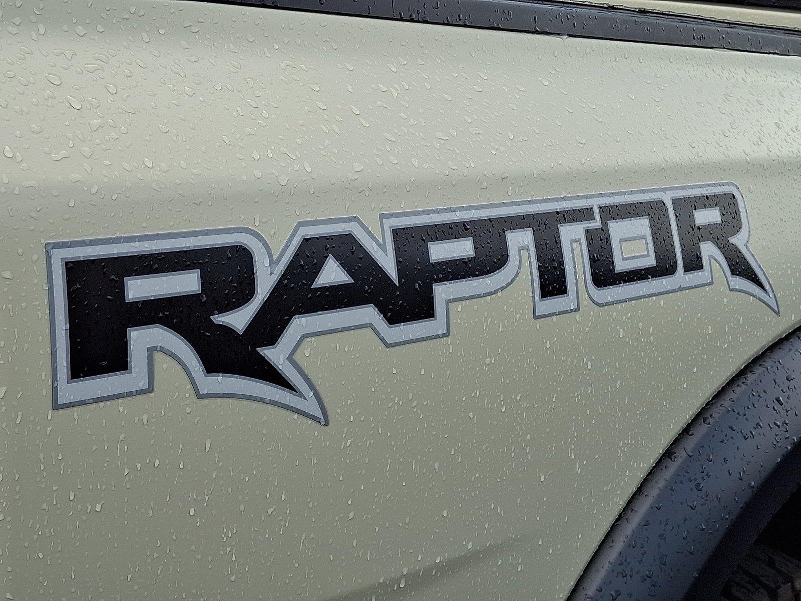 Used 2025 Desert Sand Ford Raptor image 5