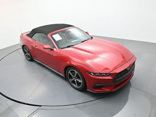 Used 2024 Red Ford EcoBoost Premium image 14