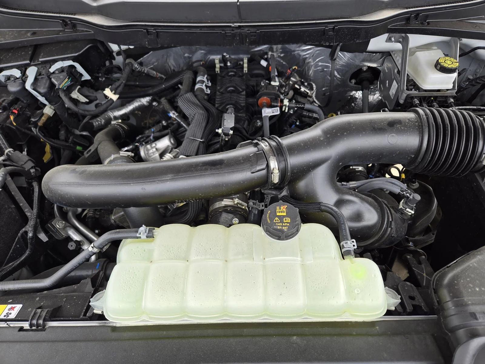 New 2026 Oxford White Ford XLT image 19