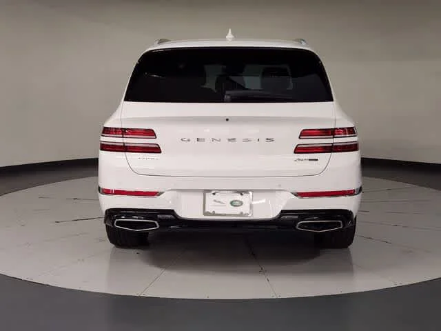 Used 2023 Alta White Genesis  image 10