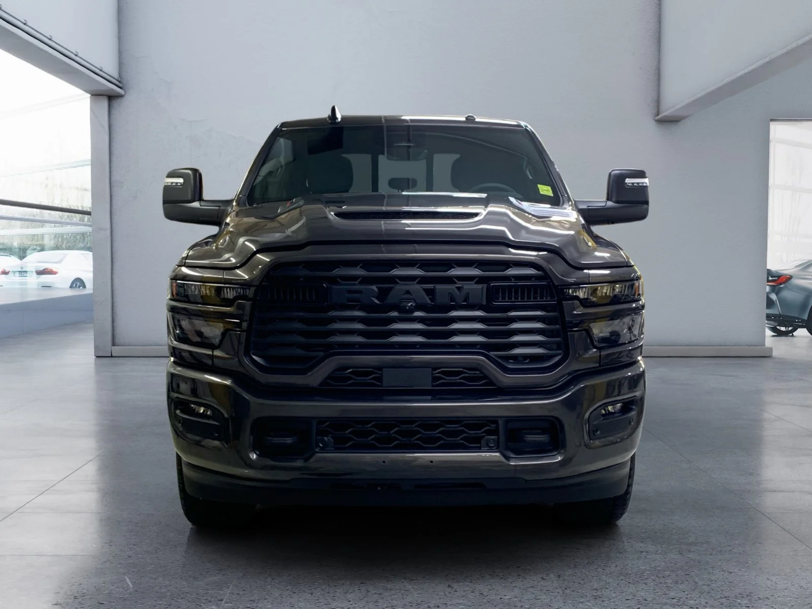 New 2026 Granite Crystal Metallic Ram Big Horn image 8