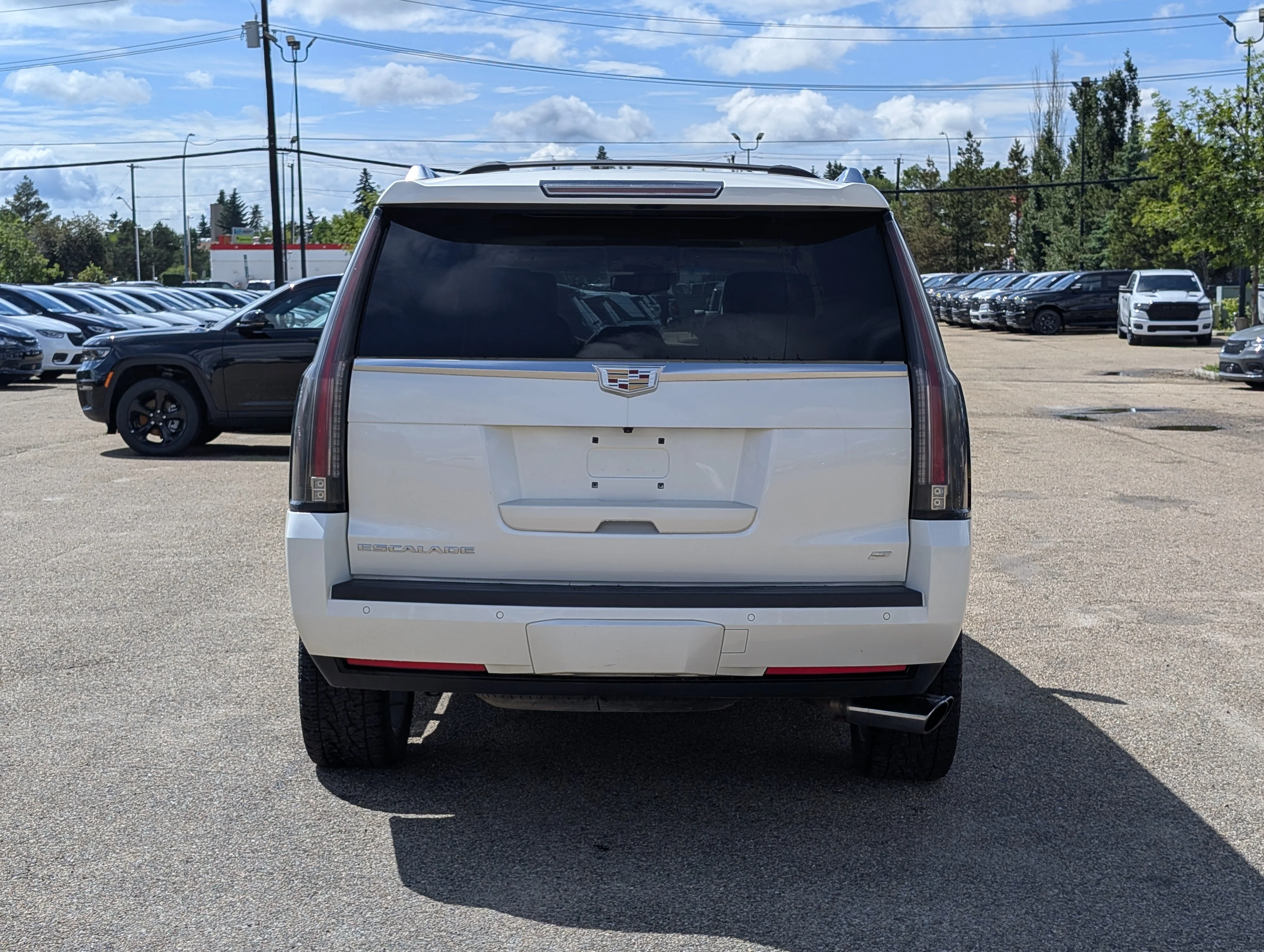 Used 2015 White Cadillac Platinum image 5