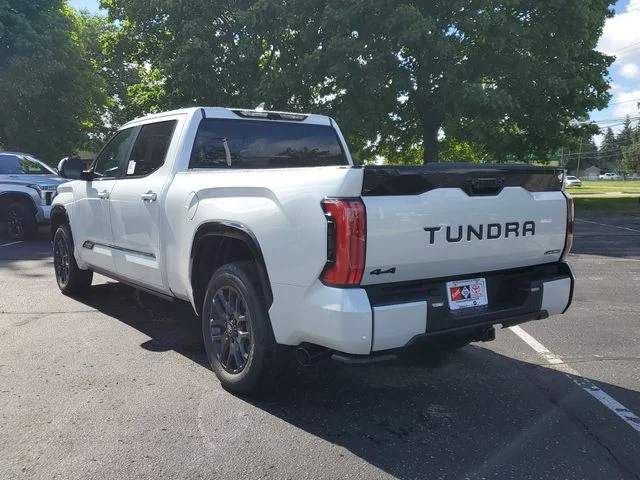 New 2026  Toyota Platinum image 3
