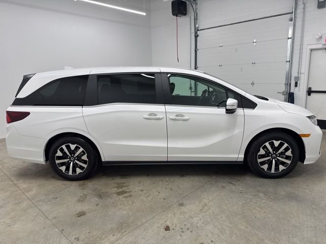 New 2026 Platinum White Pearl Honda EX-L image 4