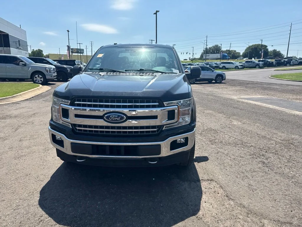 Used 2018 Guard Metallic Ford XLT image 4