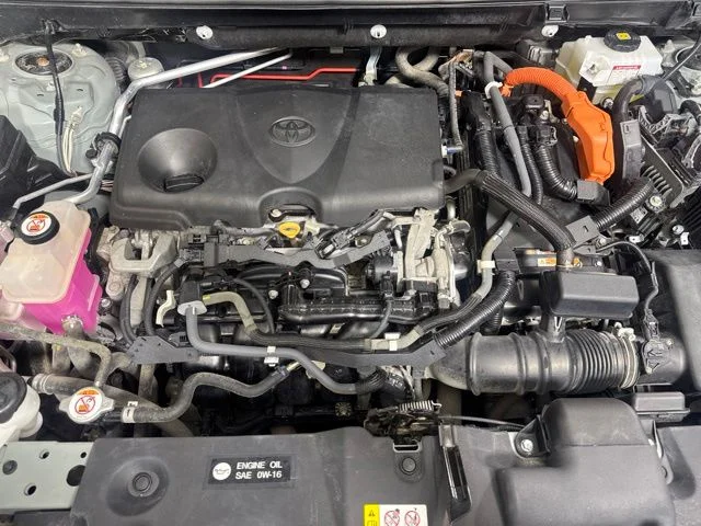 Used 2019 Lunar Toyota XLE image 9